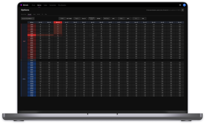 Neon Metals - Options tab